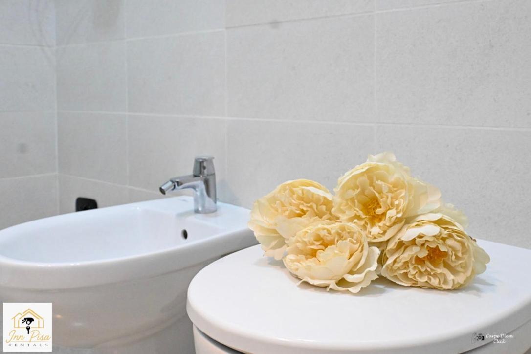 Inn Pisa Rentals 2- Starlight Central Flat Esterno foto